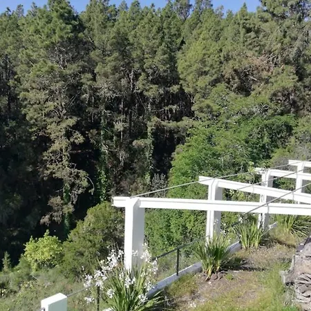 Los Berros La Esperanza (Tenerife)